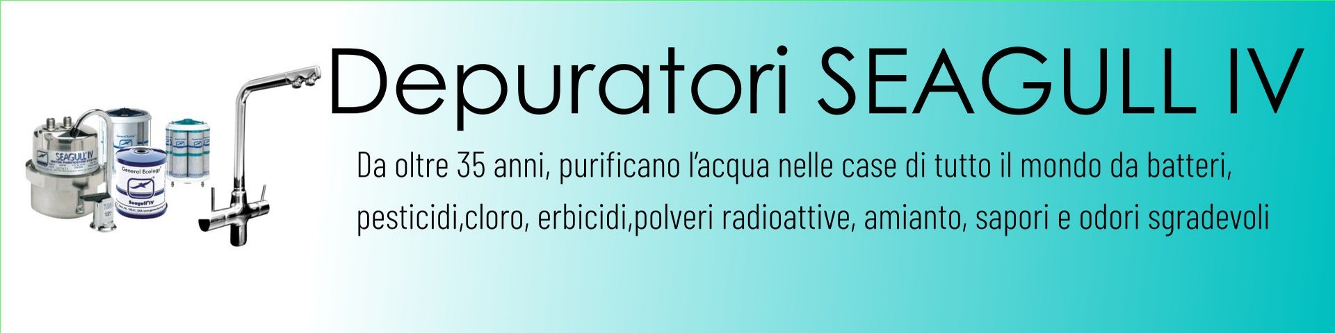 Banner Seagull IV.jpg